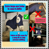 Medium Pony Slinky/Small Large Pony. FREE CHARM