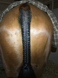 BRAIDING* Tutorials posted on the Facebook page: Katie’s Horse Care Supply (old), and Katie’s Horse Care Supply 2.0 (new)