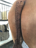 BRAIDING* Tutorials posted on the Facebook page: Katie’s Horse Care Supply (old), and Katie’s Horse Care Supply 2.0 (new)