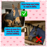 Horse Size Slinky. FREE CHARM