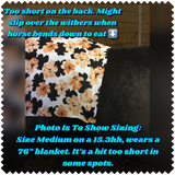 Large Pony/Small Horse Slinky. FREE CHARM