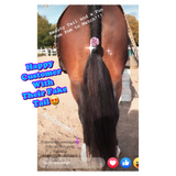 Natural Loop Fake Tails. Black, Sorrel, Flaxen, Grey, Cream, White. Real Horse Hair. Free Cover Bag, Pom Pom, Bridle Charm, Loop Charm. $99.99 - $510