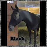 Small Pony Slinky/Small-Sized Medium Pony. FREE CHARM