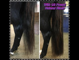 KNOB TOP Fake Tails 1/2 Pound. Real Horse Hair. Free Cover Bag, Pom Pom, Bridle Charm, Loop Charm. $99.99 - $115