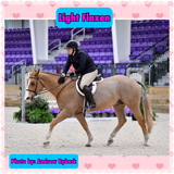 Natural Loop Fake Tails. Black, Sorrel, Flaxen, Grey, Cream, White. Real Horse Hair. Free Cover Bag, Pom Pom, Bridle Charm, Loop Charm. $99.99 - $510