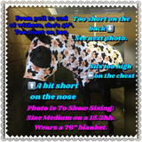 Large Pony/Small Horse Slinky. FREE CHARM