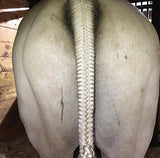 BRAIDING* Tutorials posted on the Facebook page: Katie’s Horse Care Supply (old), and Katie’s Horse Care Supply 2.0 (new)
