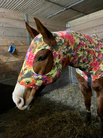 LARGE PONY/SMALL HORSE SLINKY. FREE CHARM