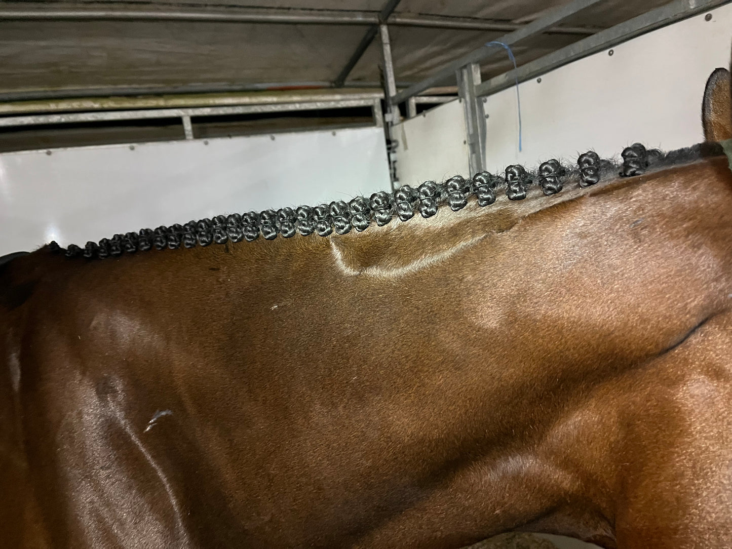 BRAIDING* Tutorials posted on the Facebook page: Katie’s Horse Care Supply (old), and Katie’s Horse Care Supply 2.0 (new). Instagram: Katie’s Horse Care Supply