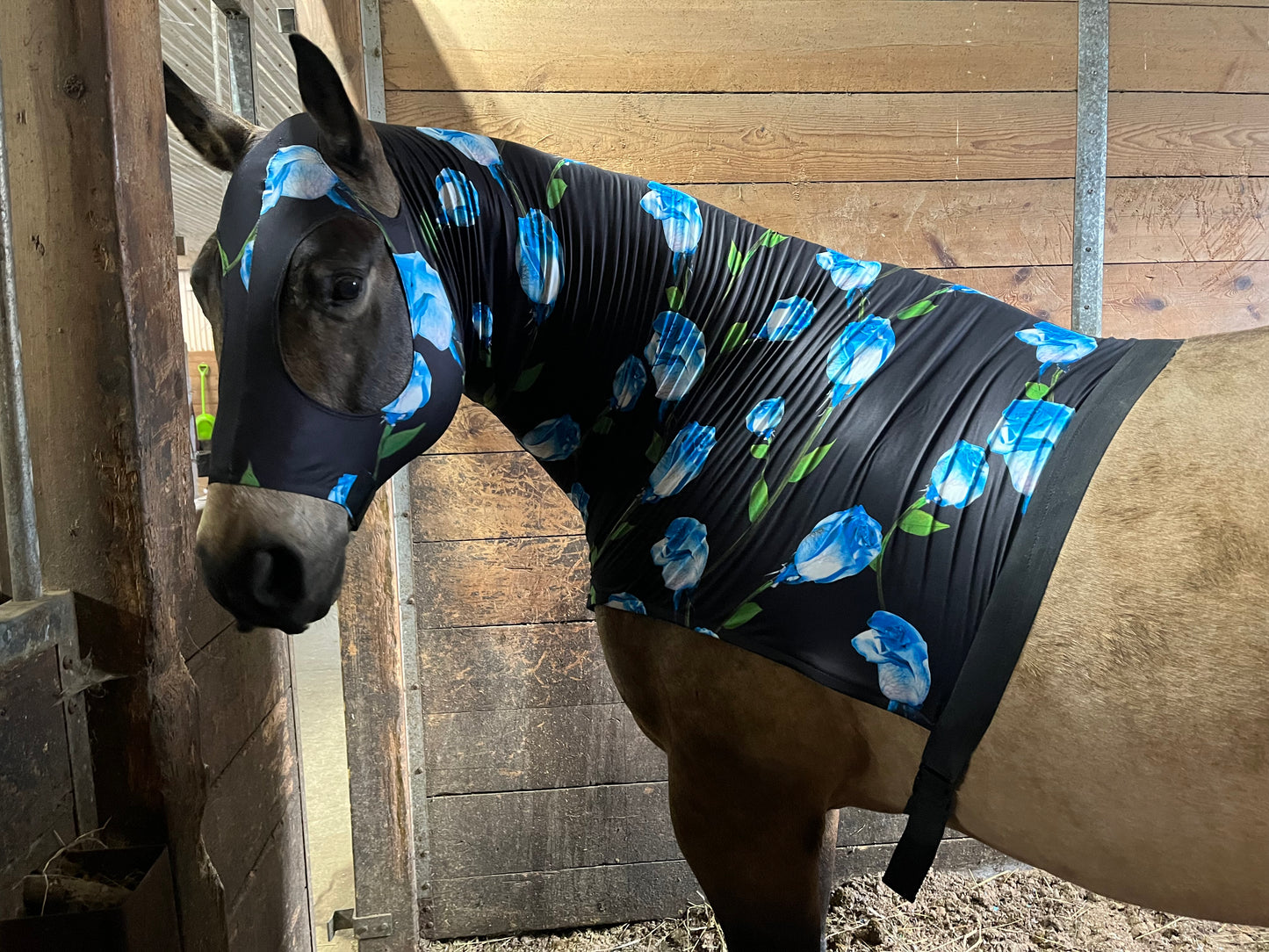 HORSE SIZE SLINKY. FREE CHARM