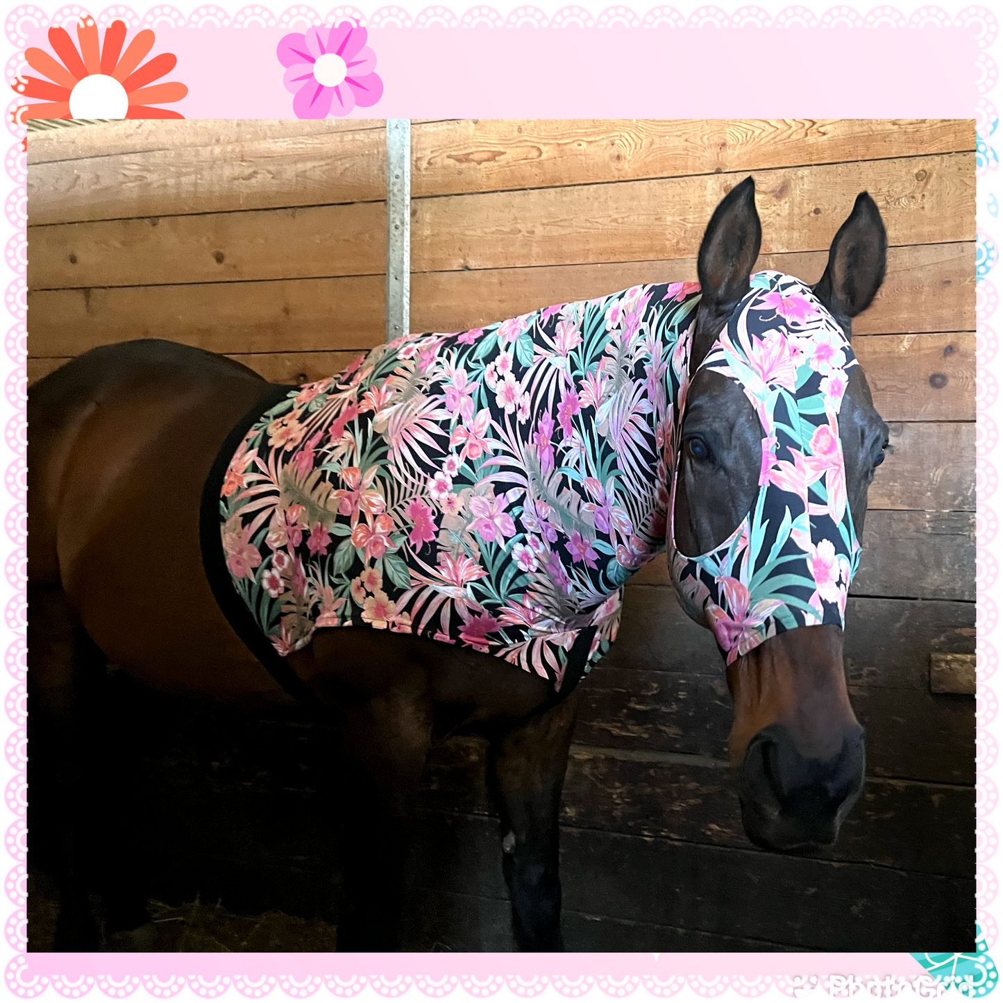 SMALL PONY SLINKY/SMALL-SIZED MEDIUM PONY. FREE CHARM