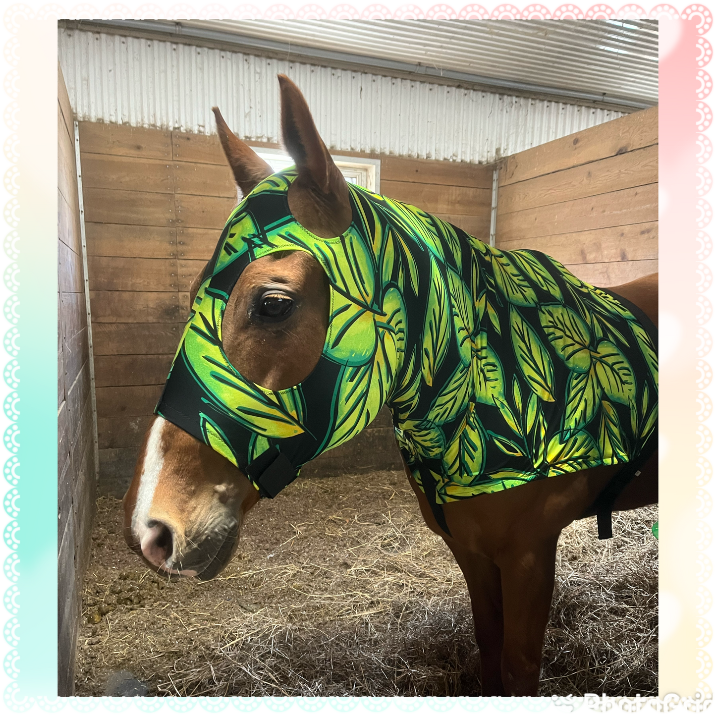 LARGE PONY/SMALL HORSE SLINKY. FREE CHARM