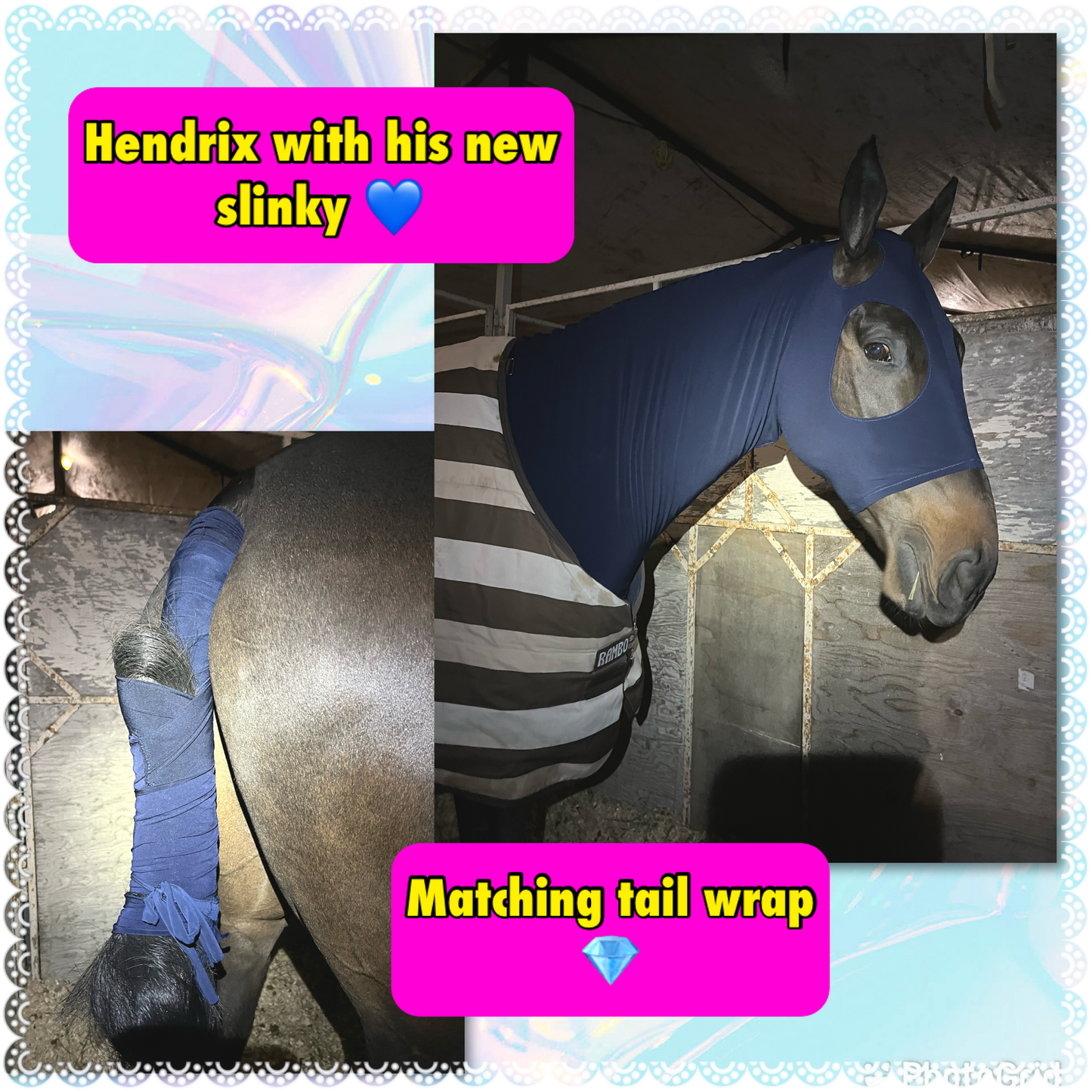 LARGE PONY/SMALL HORSE SLINKY. FREE CHARM