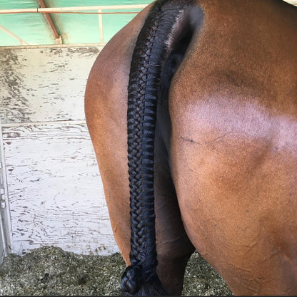 BRAIDING* Tutorials posted on the Facebook page: Katie’s Horse Care Supply (old), and Katie’s Horse Care Supply 2.0 (new). Instagram: Katie’s Horse Care Supply