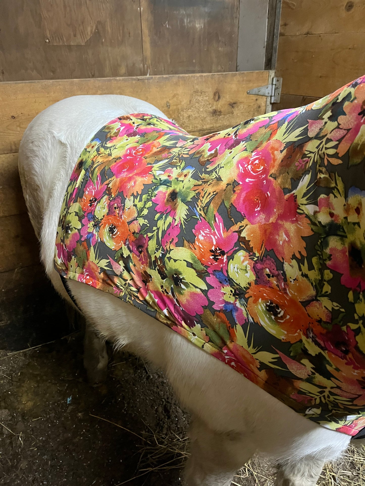 SMALL PONY SLINKY/SMALL-SIZED MEDIUM PONY. FREE CHARM