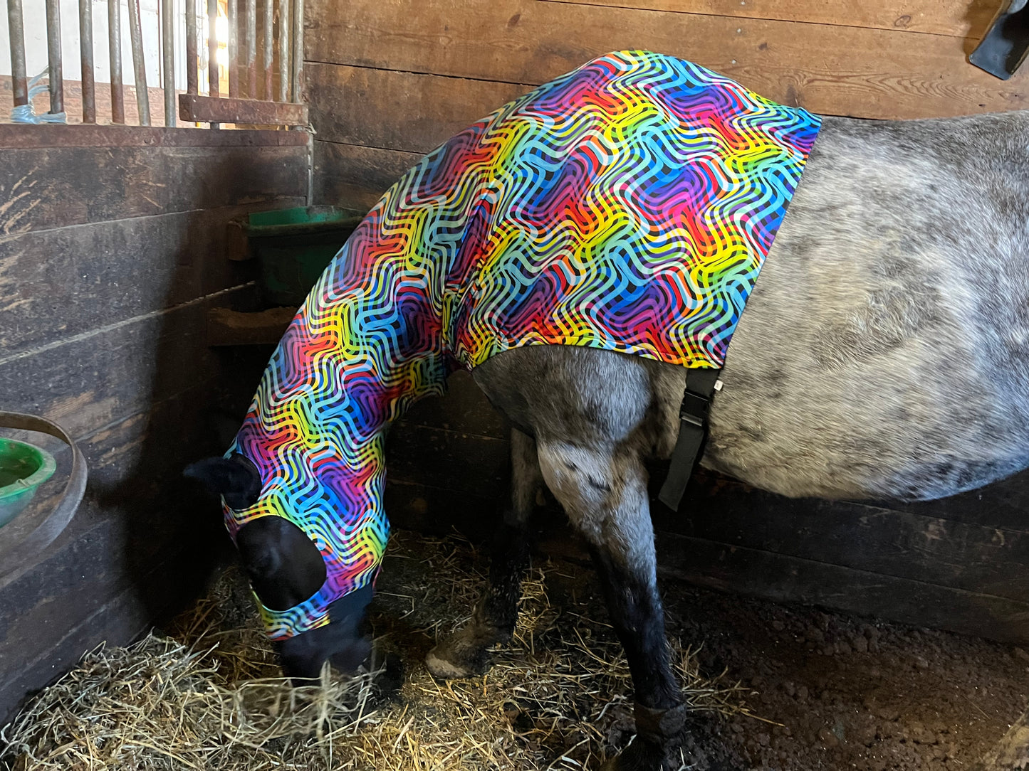 HORSE SIZE SLINKY. FREE CHARM