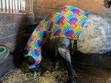 Medium Pony Slinky/Small Large Pony. FREE CHARM