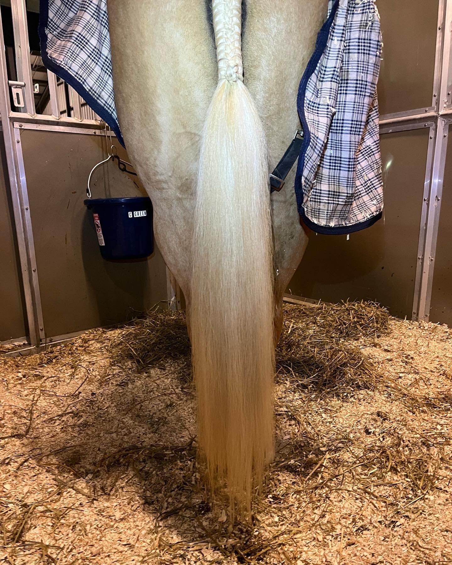 NATURAL LOOP FAKE TAILS. Real Horse Hair. Free Cover Bag, Pom Pom, Bridle Charm, Loop Charm. $99.99 - $550