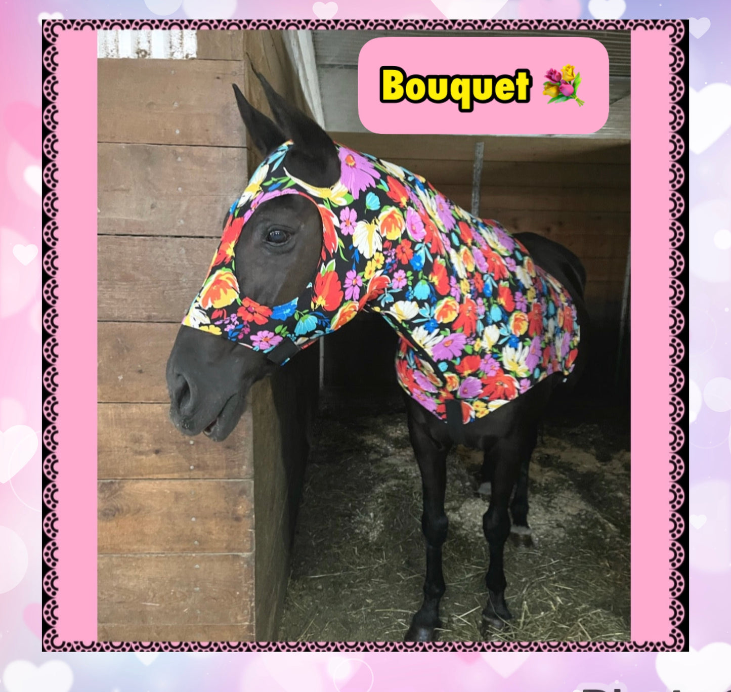 WARMBLOOD/DRAFT CROSS SLINKY. FREE CHARM
