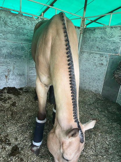 BRAIDING* Tutorials posted on the Facebook page: Katie’s Horse Care Supply (old), and Katie’s Horse Care Supply 2.0 (new). Instagram: Katie’s Horse Care Supply