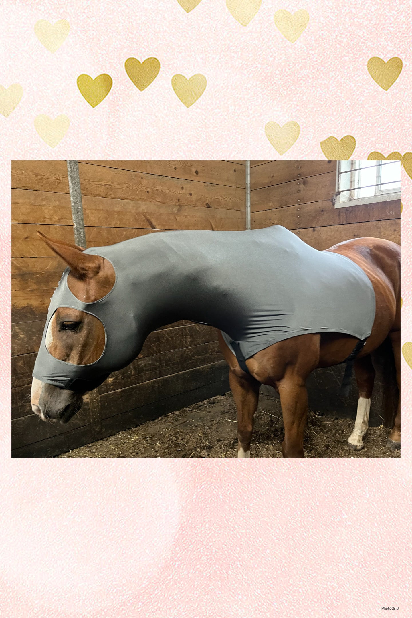 HORSE SIZE SLINKY. FREE CHARM