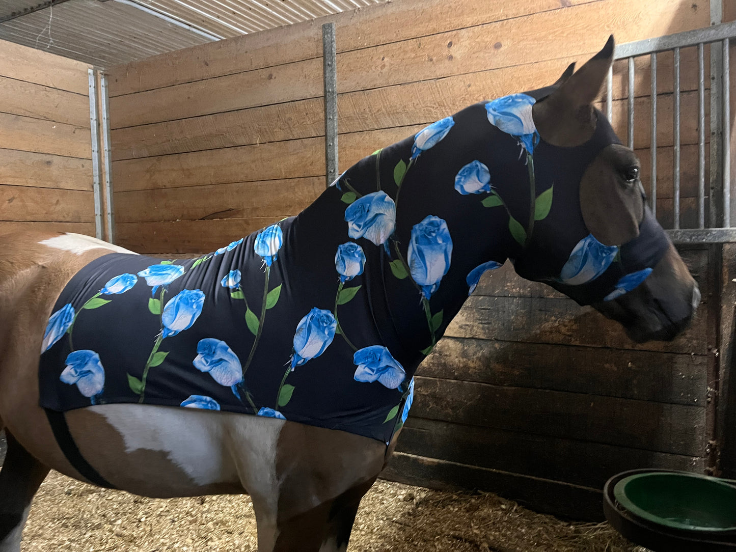 MEDIUM PONY SLINKY/SMALL-SIZED LARGE PONY. FREE CHARM