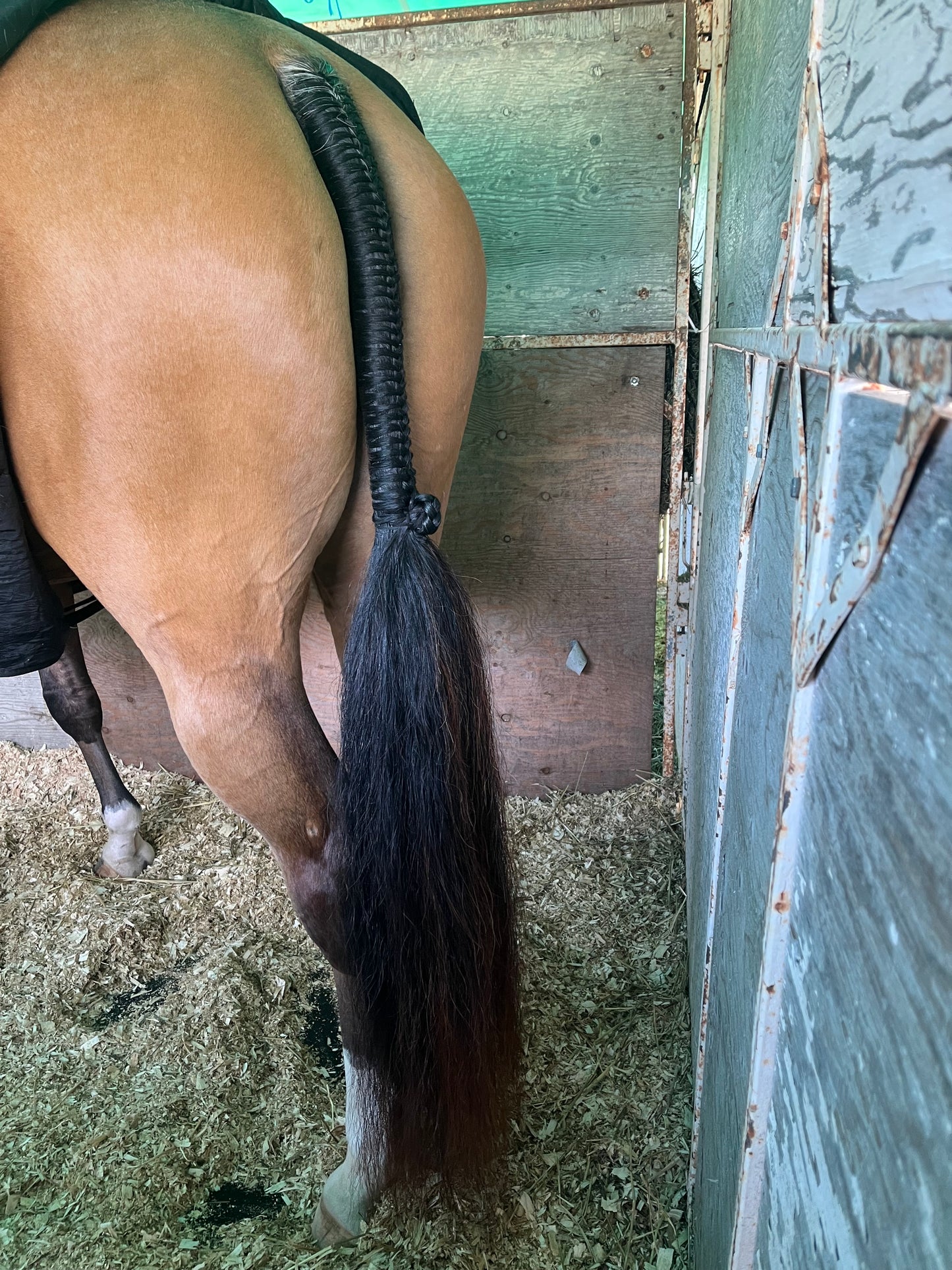 BRAIDING* Tutorials posted on the Facebook page: Katie’s Horse Care Supply (old), and Katie’s Horse Care Supply 2.0 (new). Instagram: Katie’s Horse Care Supply