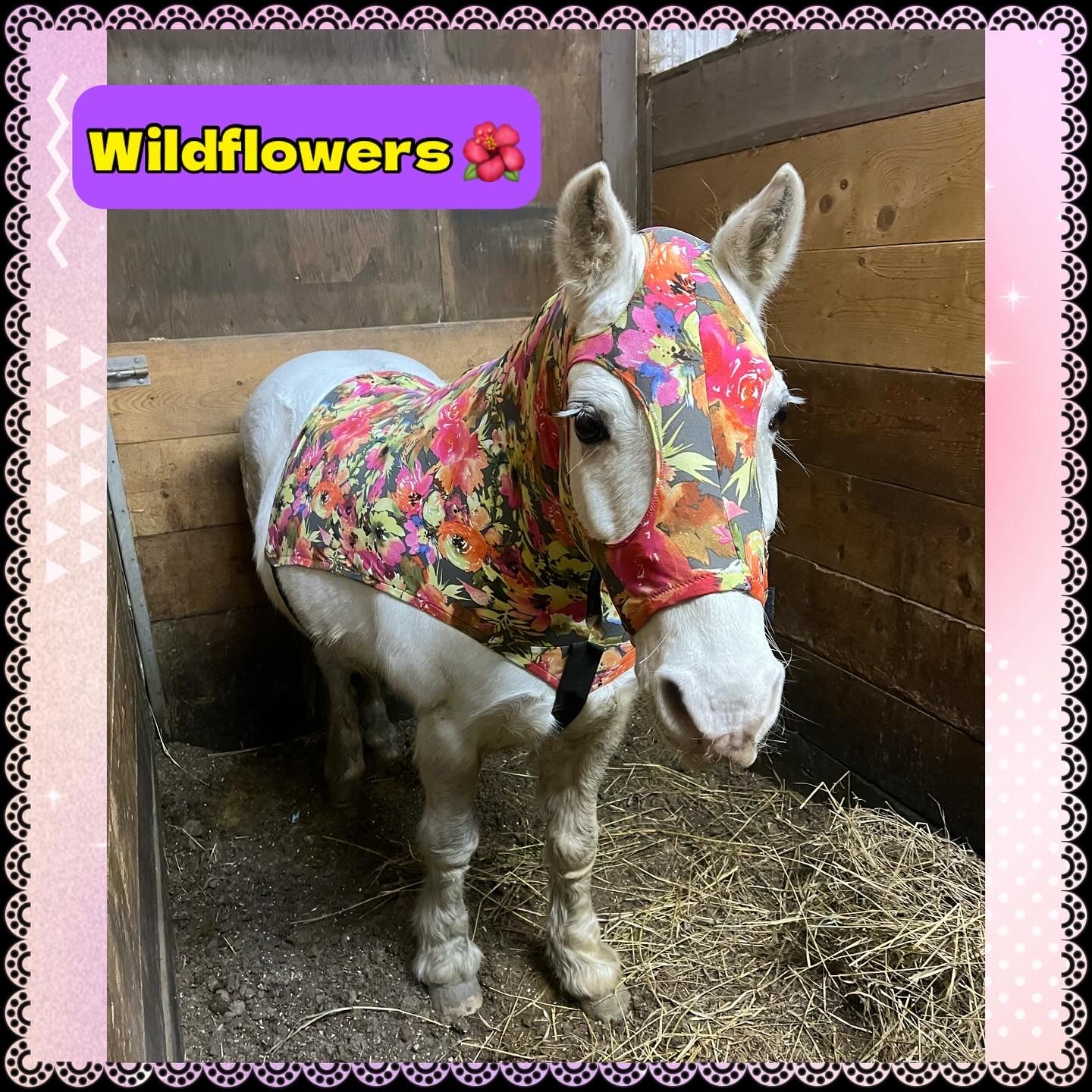 MEDIUM PONY SLINKY/SMALL-SIZED LARGE PONY. FREE CHARM