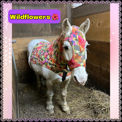 MEDIUM PONY SLINKY/SMALL-SIZED LARGE PONY. FREE CHARM