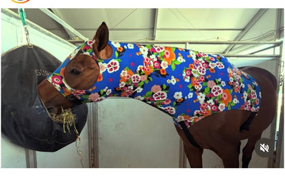 HORSE SIZE SLINKY. FREE CHARM
