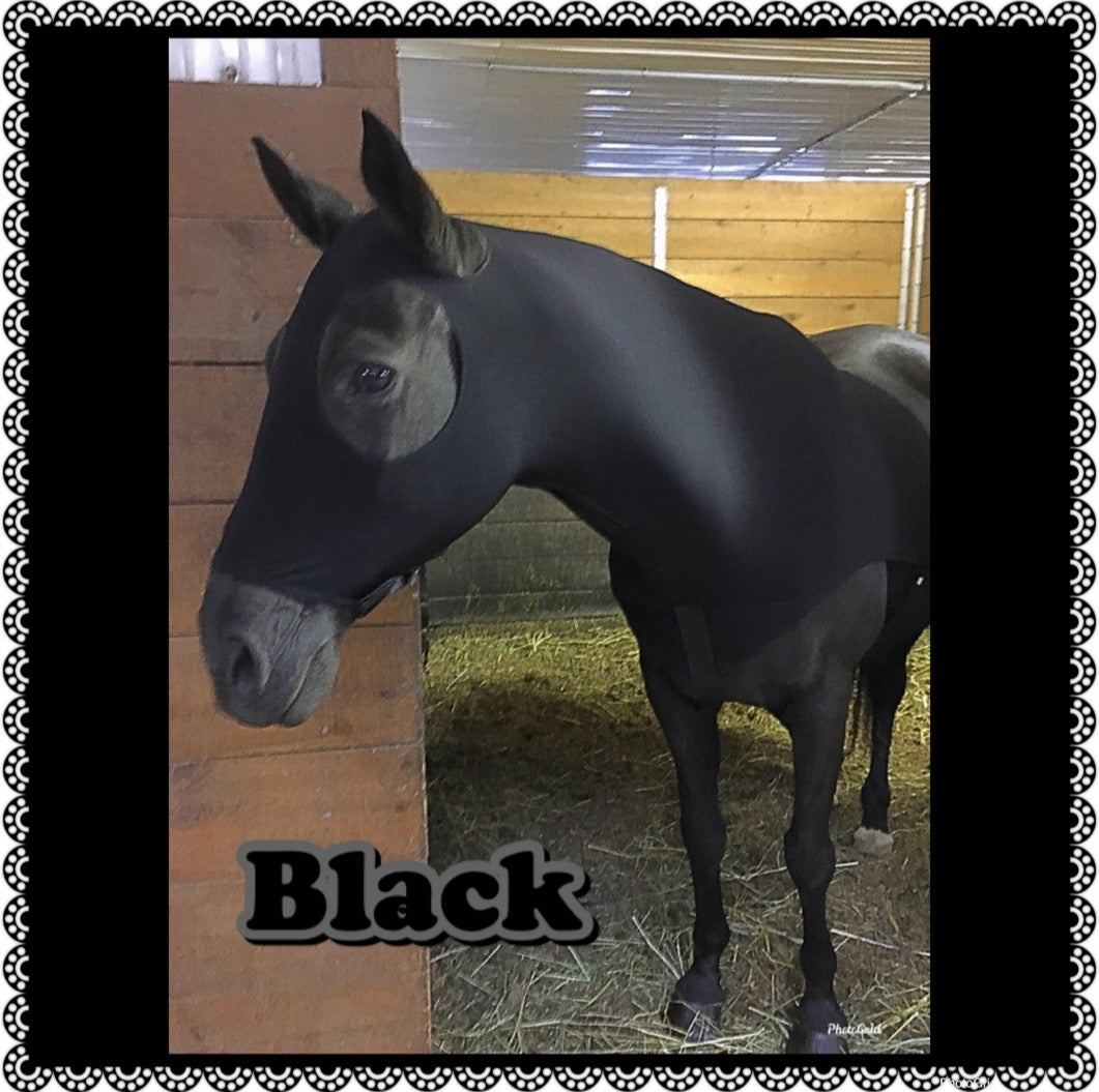 MEDIUM PONY SLINKY/SMALL-SIZED LARGE PONY. FREE CHARM