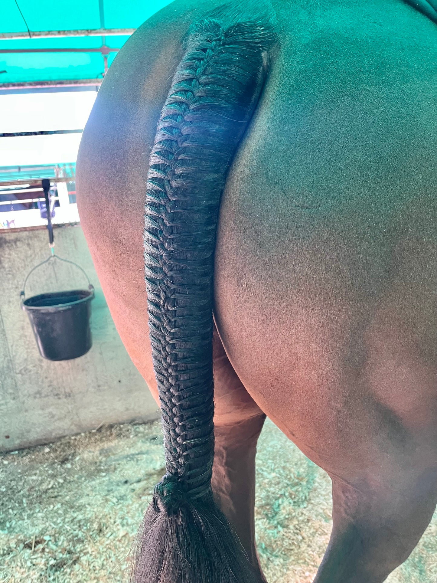 BRAIDING* Tutorials posted on the Facebook page: Katie’s Horse Care Supply (old), and Katie’s Horse Care Supply 2.0 (new). Instagram: Katie’s Horse Care Supply