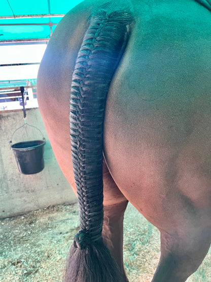 BRAIDING* Tutorials posted on the Facebook page: Katie’s Horse Care Supply (old), and Katie’s Horse Care Supply 2.0 (new). Instagram: Katie’s Horse Care Supply