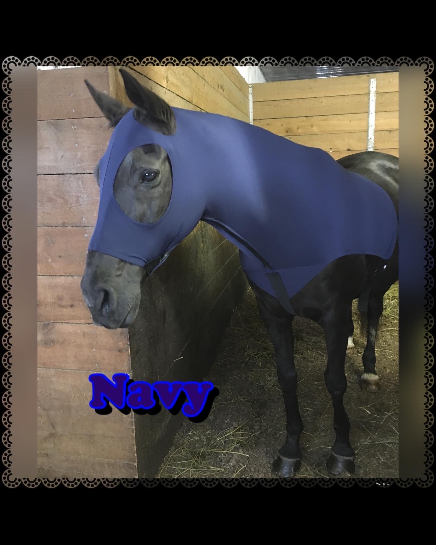 MEDIUM PONY SLINKY/SMALL-SIZED LARGE PONY. FREE CHARM
