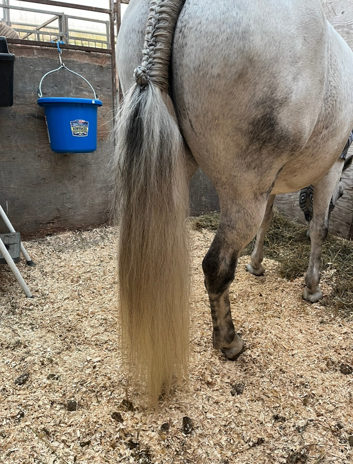 NATURAL LOOP FAKE TAILS. Real Horse Hair. Free Cover Bag, Pom Pom, Bridle Charm, Loop Charm. $99.99 - $550