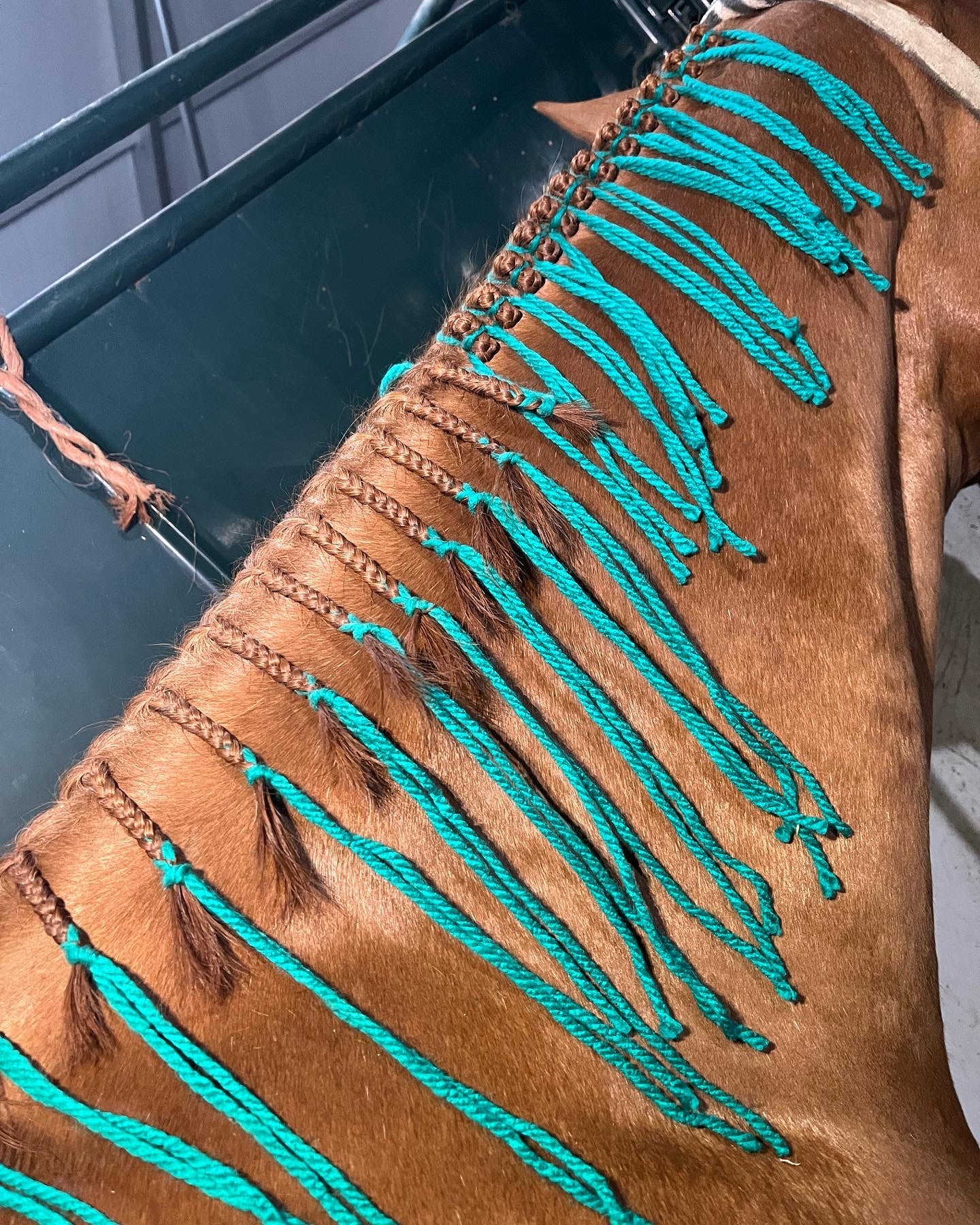 BRAIDING* Tutorials posted on the Facebook page: Katie’s Horse Care Supply (old), and Katie’s Horse Care Supply 2.0 (new). Instagram: Katie’s Horse Care Supply