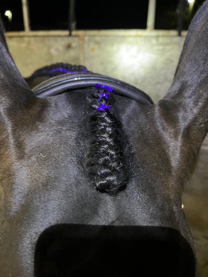BRAIDING* Tutorials posted on the Facebook page: Katie’s Horse Care Supply (old), and Katie’s Horse Care Supply 2.0 (new). Instagram: Katie’s Horse Care Supply