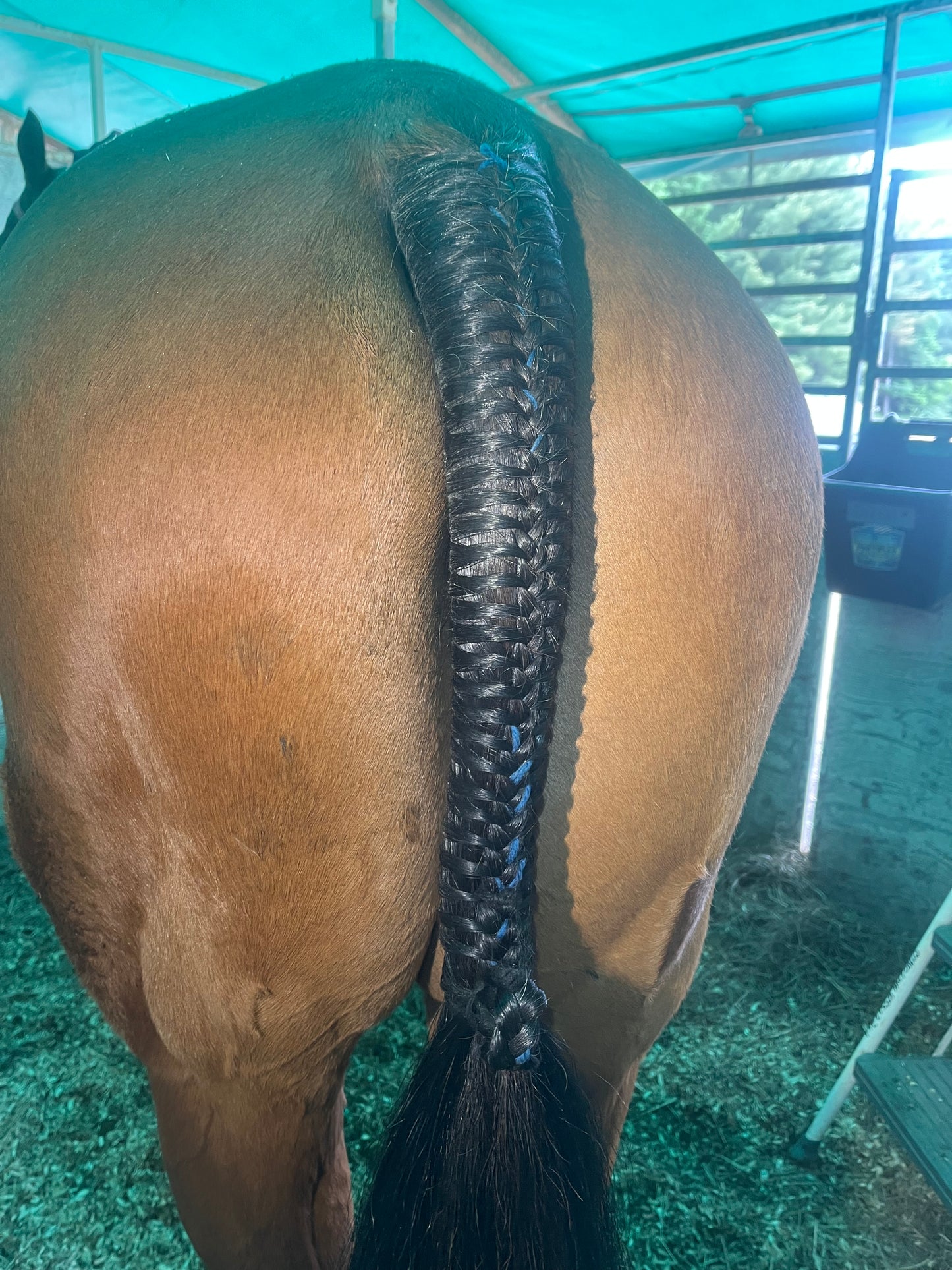 BRAIDING* Tutorials posted on the Facebook page: Katie’s Horse Care Supply (old), and Katie’s Horse Care Supply 2.0 (new). Instagram: Katie’s Horse Care Supply