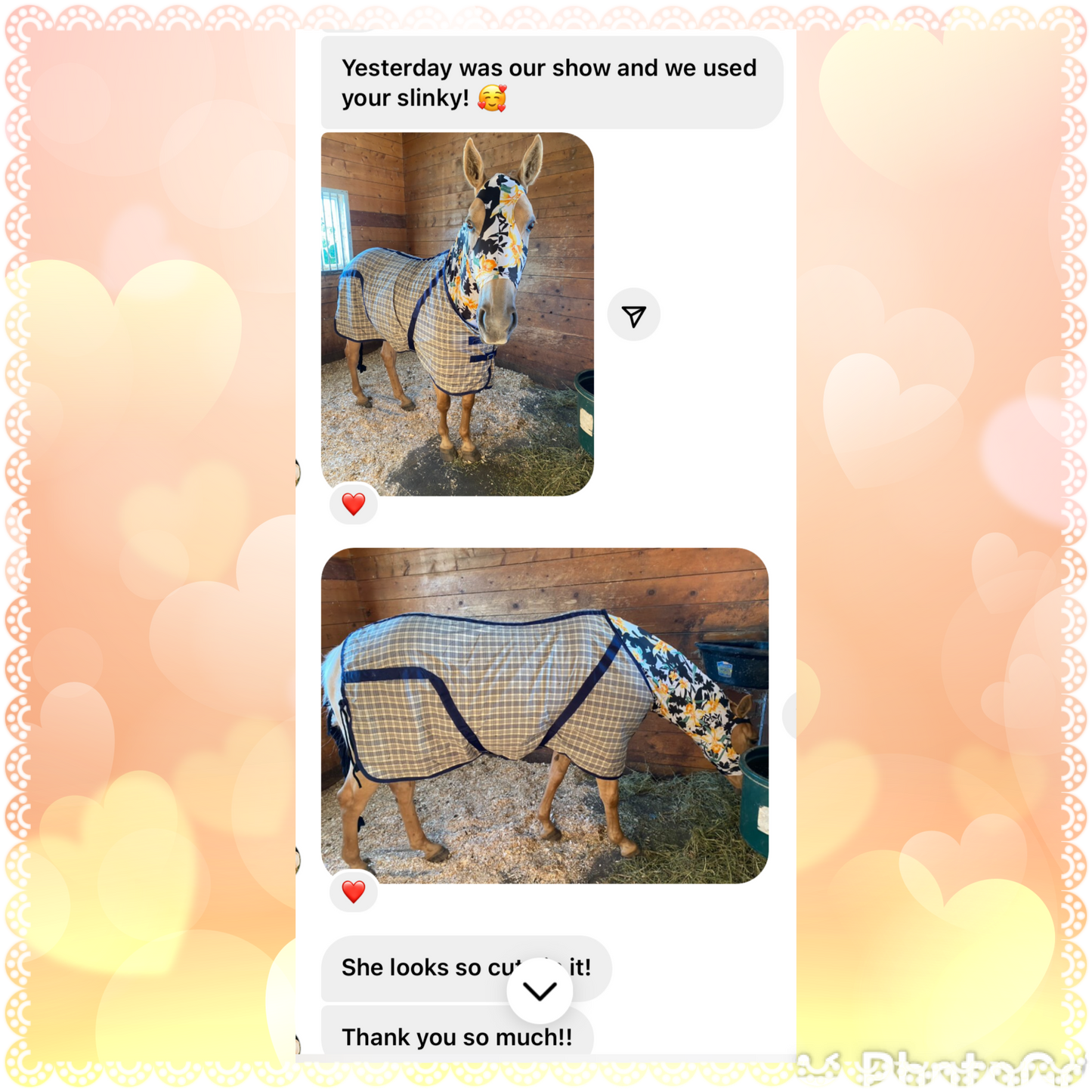 WARMBLOOD/DRAFT CROSS SLINKY. FREE CHARM