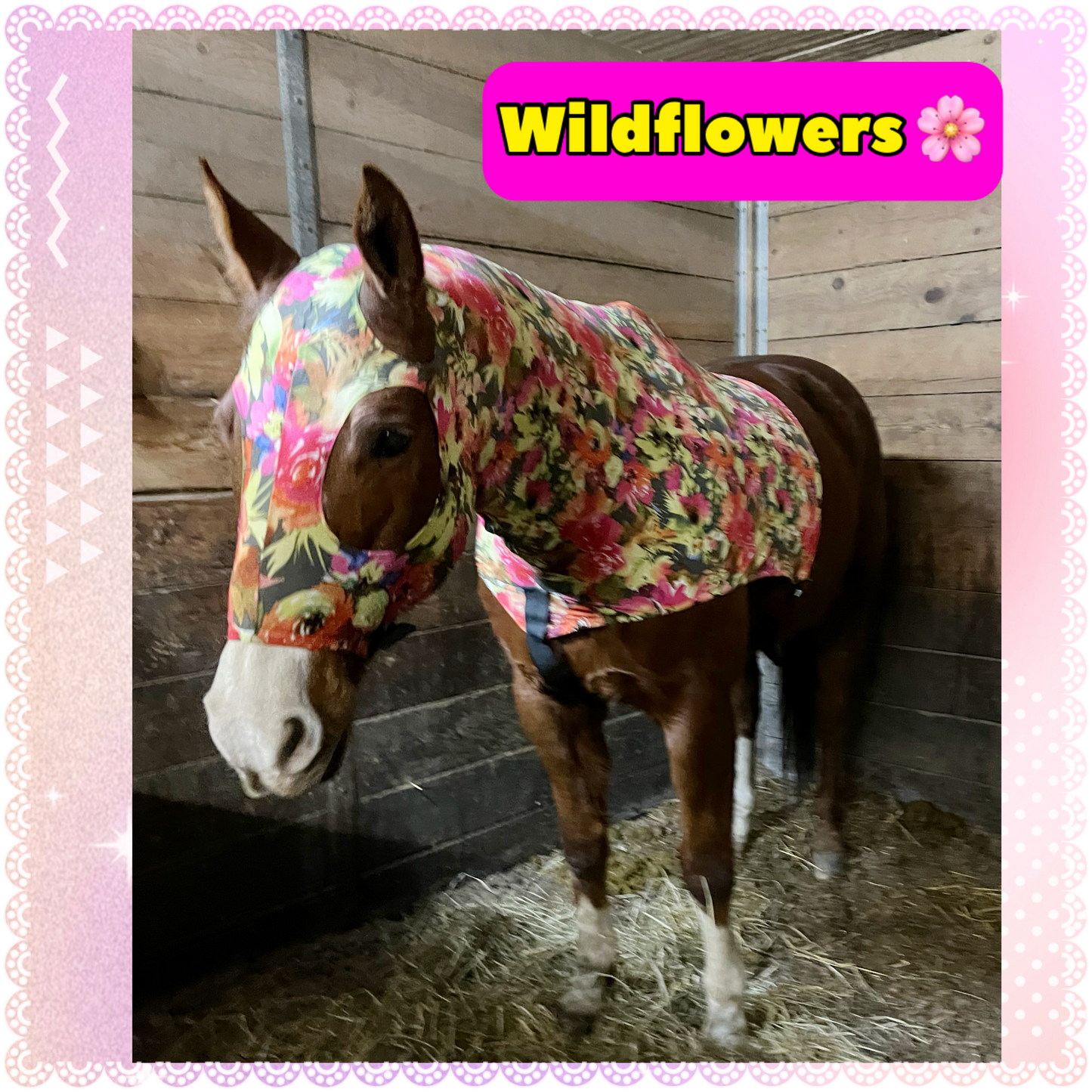 MEDIUM PONY SLINKY/SMALL-SIZED LARGE PONY. FREE CHARM