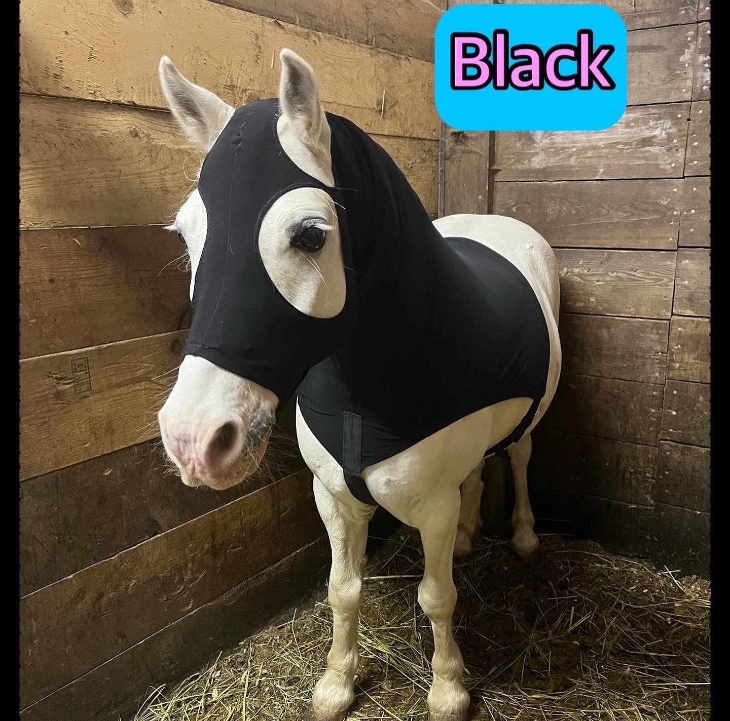 MEDIUM PONY SLINKY/SMALL-SIZED LARGE PONY. FREE CHARM