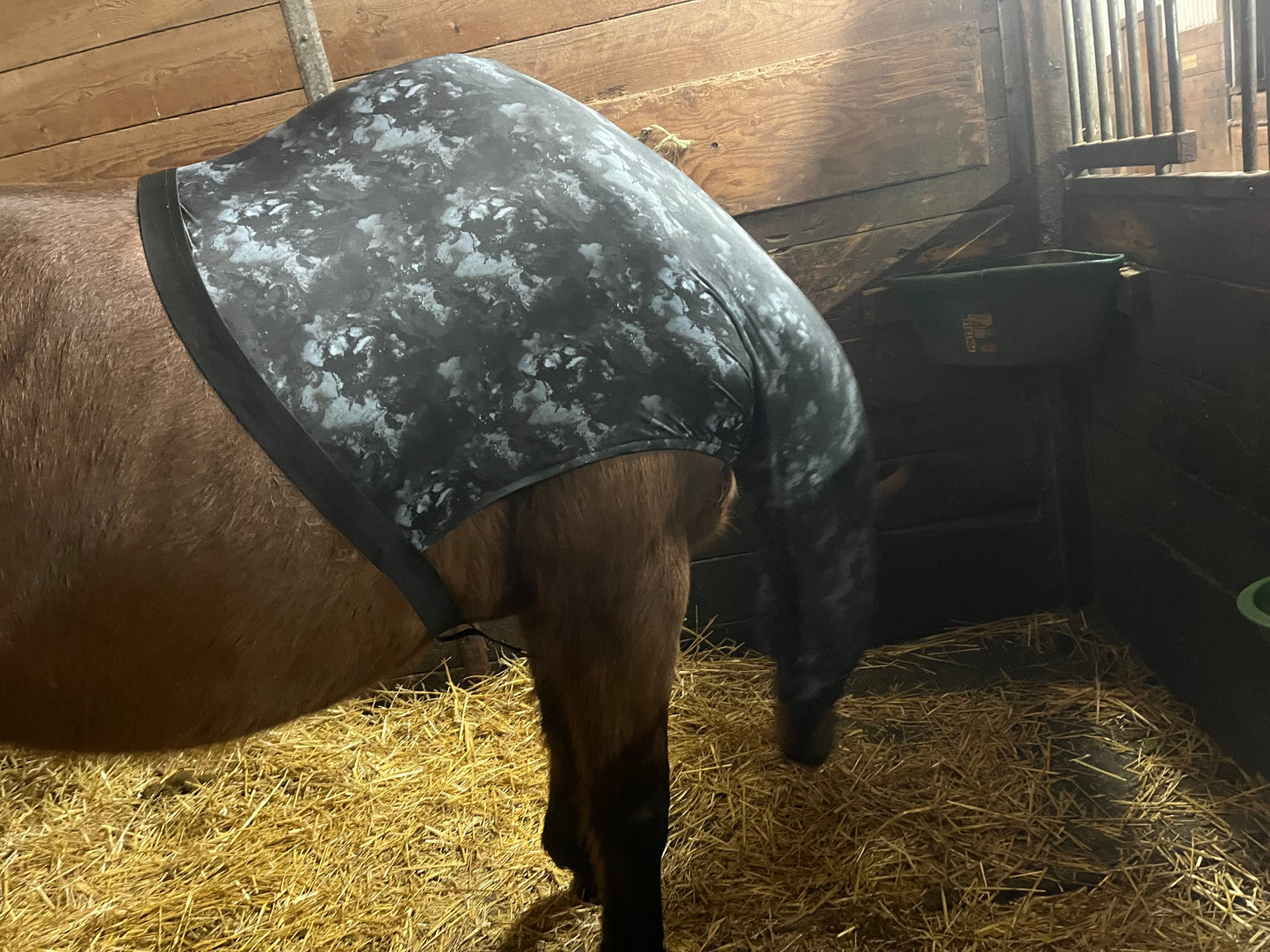 HORSE SIZE SLINKY. FREE CHARM
