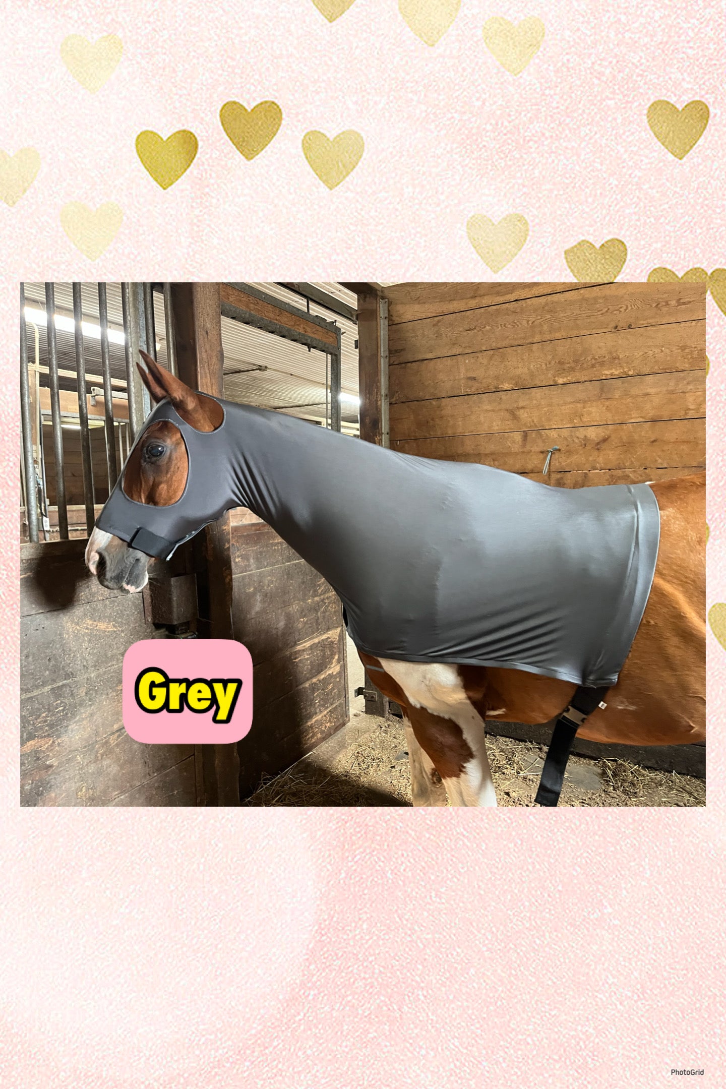 HORSE SIZE SLINKY. FREE CHARM