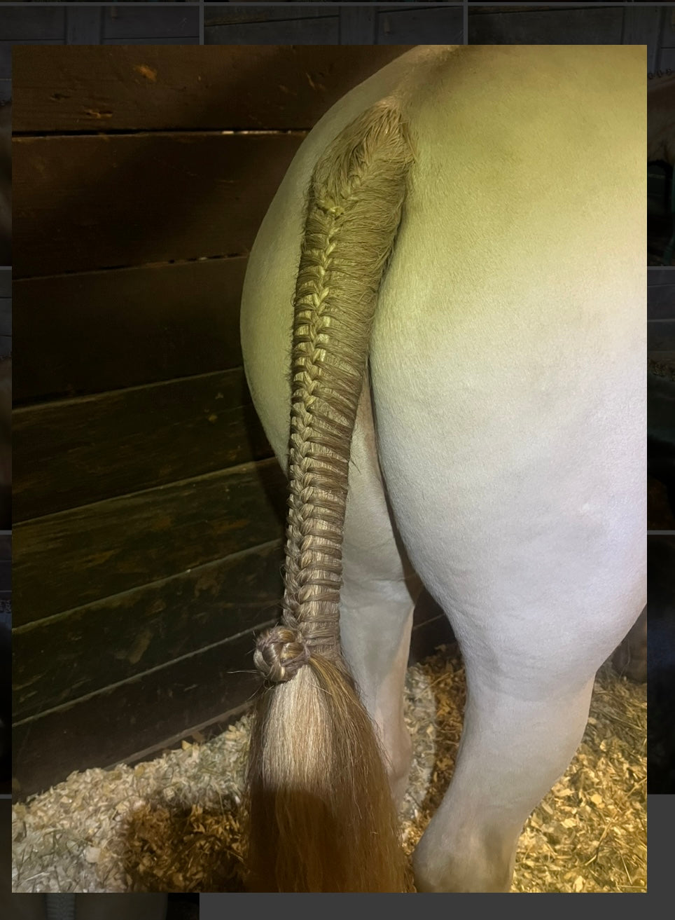 BRAIDING* Tutorials posted on the Facebook page: Katie’s Horse Care Supply (old), and Katie’s Horse Care Supply 2.0 (new). Instagram: Katie’s Horse Care Supply