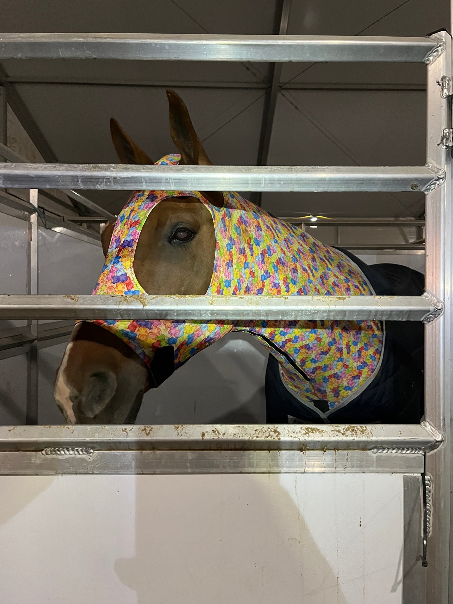 HORSE SIZE SLINKY. FREE CHARM