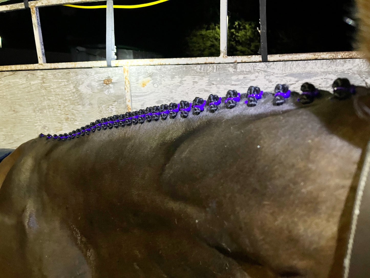 BRAIDING* Tutorials posted on the Facebook page: Katie’s Horse Care Supply (old), and Katie’s Horse Care Supply 2.0 (new). Instagram: Katie’s Horse Care Supply