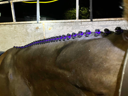 BRAIDING* Tutorials posted on the Facebook page: Katie’s Horse Care Supply (old), and Katie’s Horse Care Supply 2.0 (new). Instagram: Katie’s Horse Care Supply