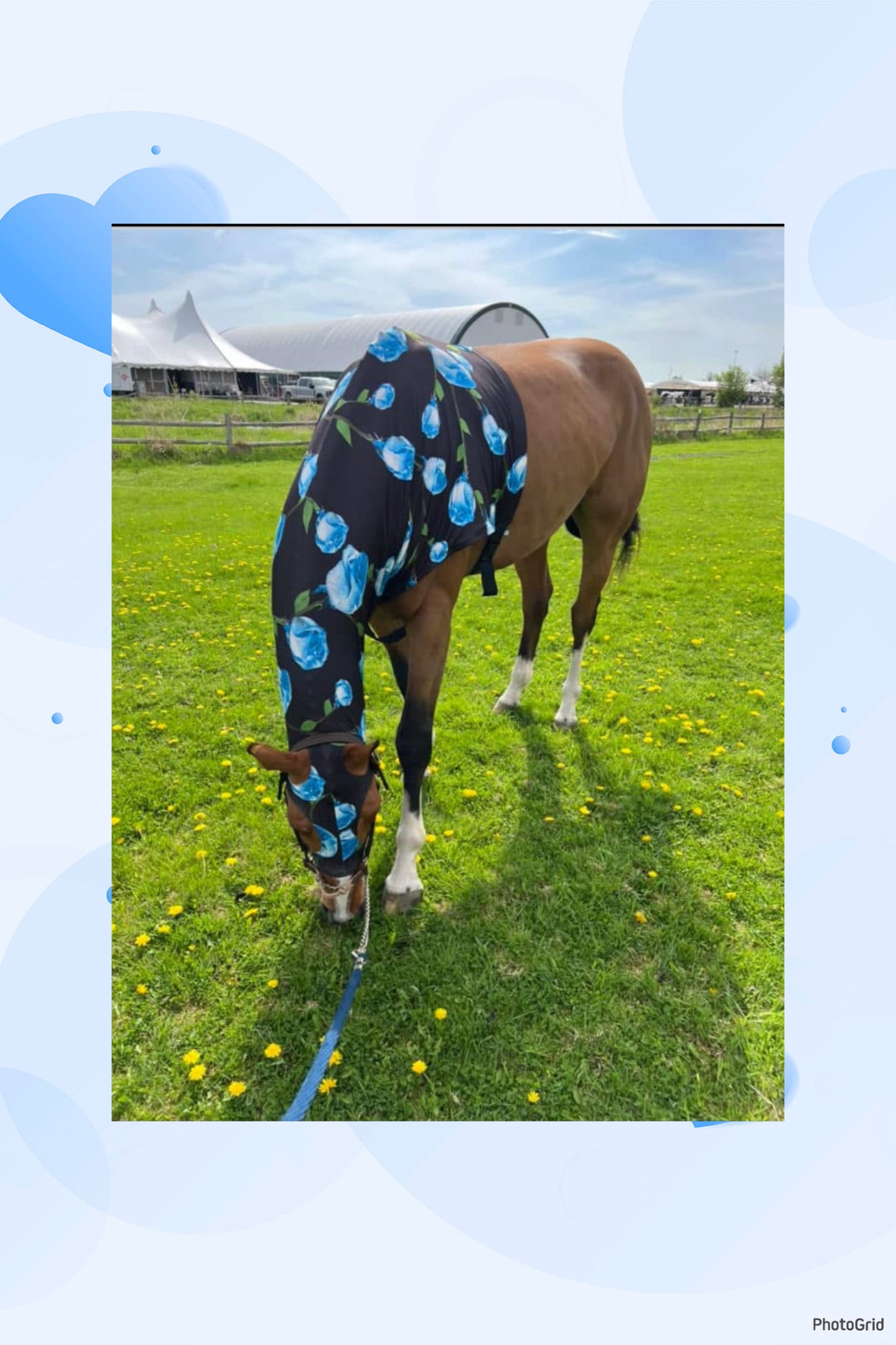 SMALL PONY SLINKY/SMALL-SIZED MEDIUM PONY. FREE CHARM