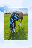 Small Pony Slinky/Small-Sized Medium Pony. FREE CHARM
