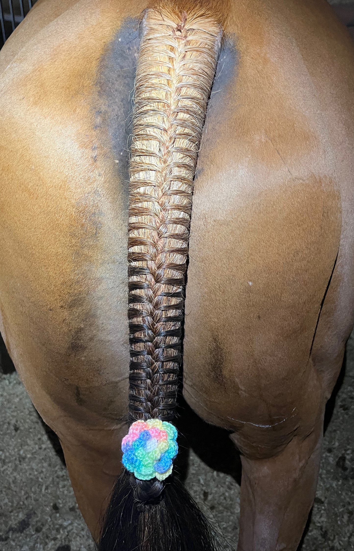 BRAIDING* Tutorials posted on the Facebook page: Katie’s Horse Care Supply (old), and Katie’s Horse Care Supply 2.0 (new). Instagram: Katie’s Horse Care Supply